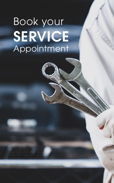 Book a Service